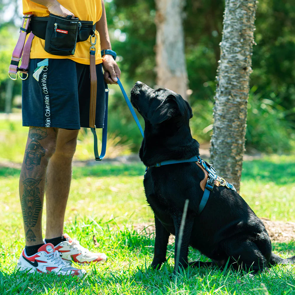 Easy Walk Dog Harness