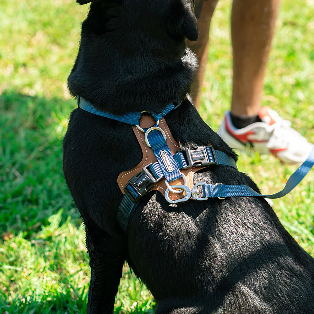 Easy Walk Dog Harness