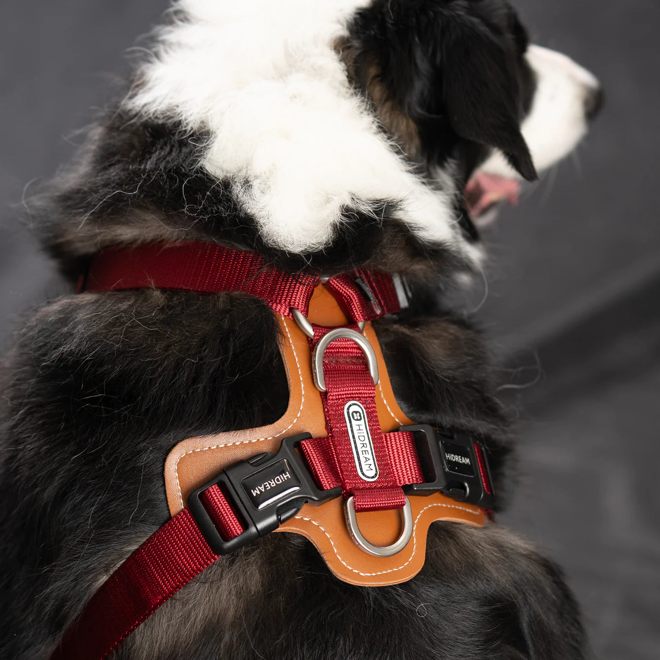 Easy Walk Dog Harness