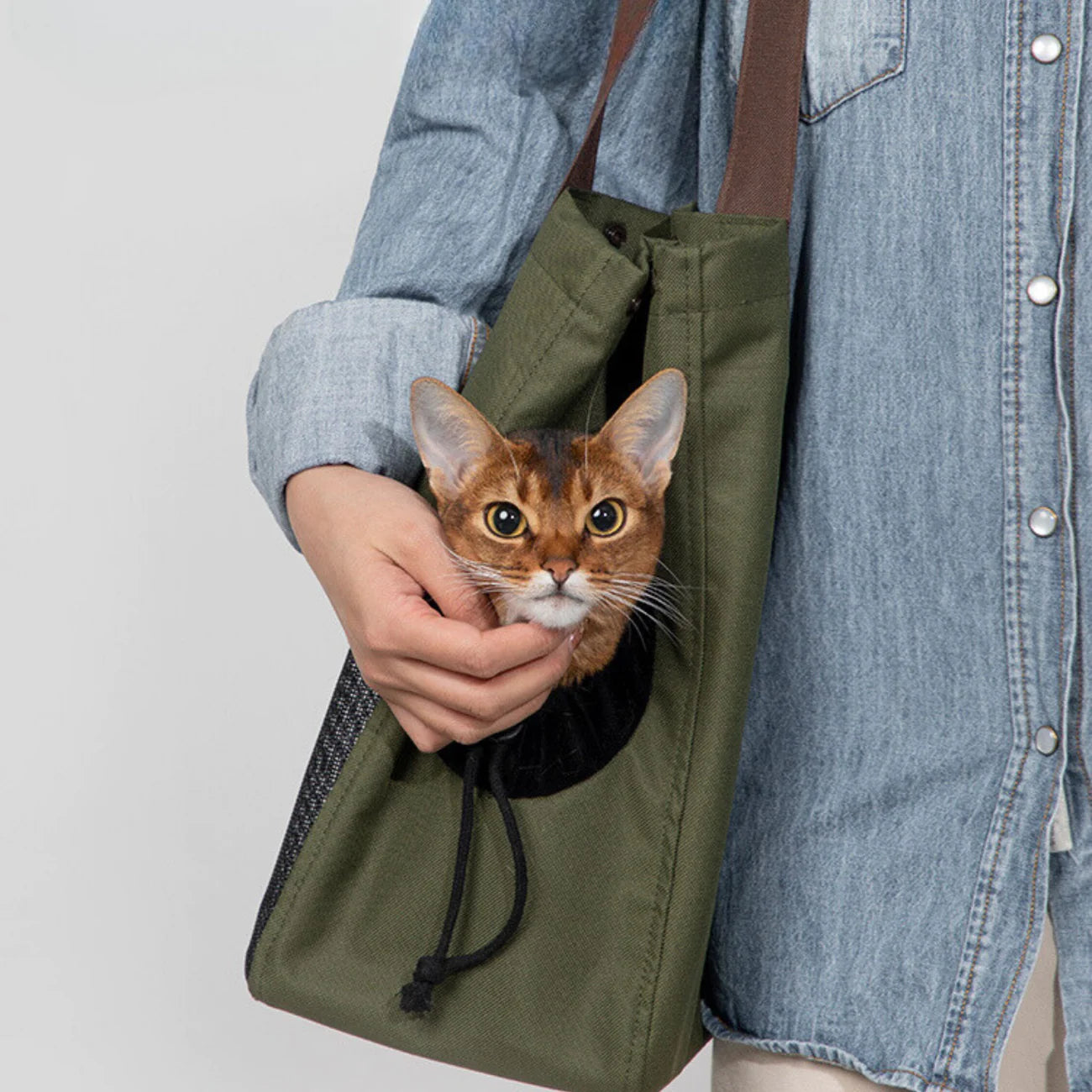 Carry All Bags for Small Dogs and Cats, Stylish for Outings & Commuting