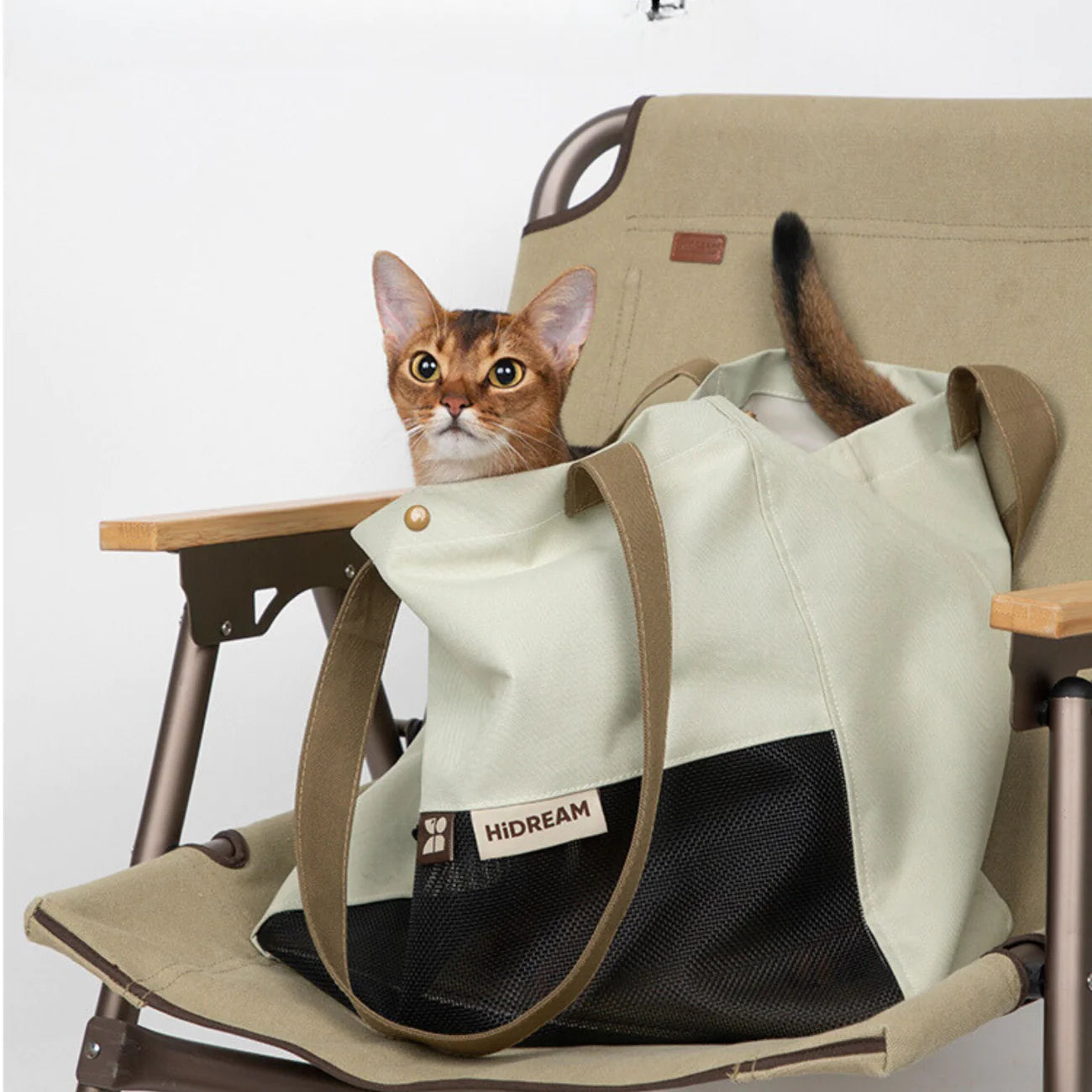 Carry All Bags for Small Dogs and Cats, Stylish for Outings & Commuting