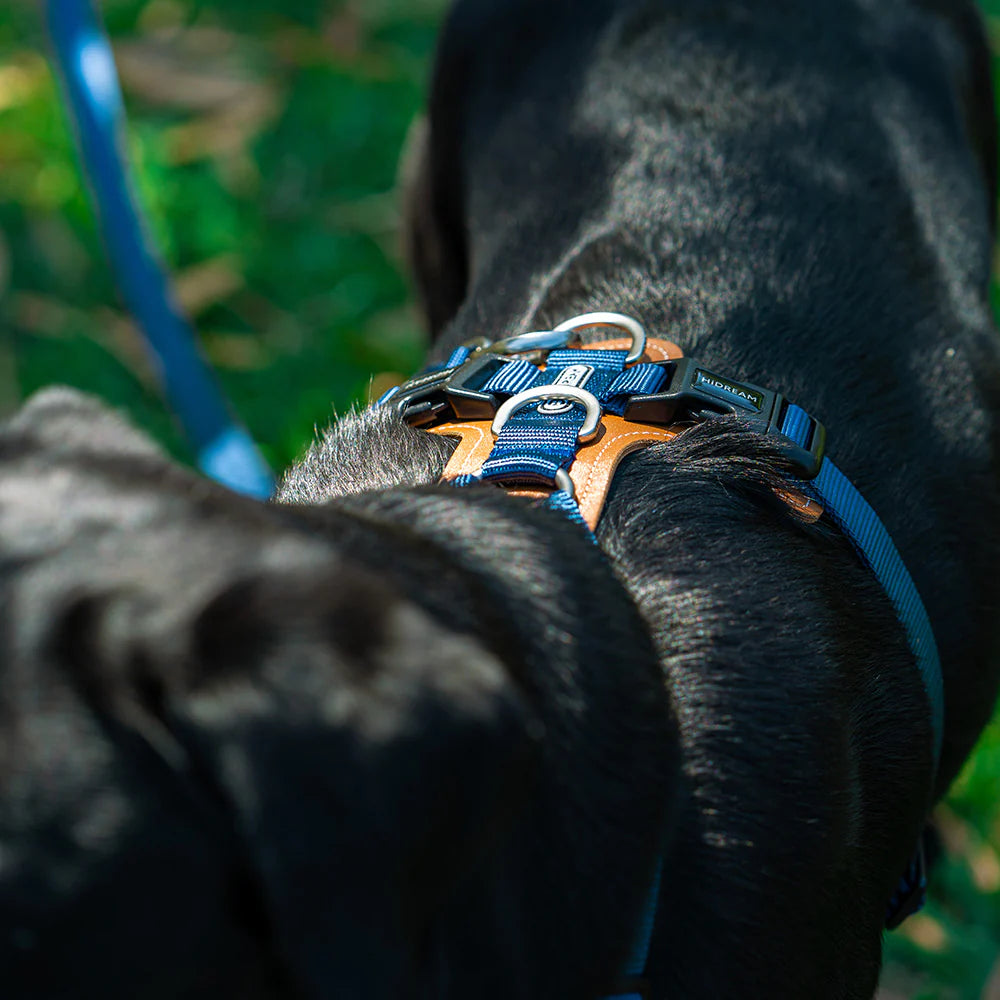 Easy Walk Dog Harness