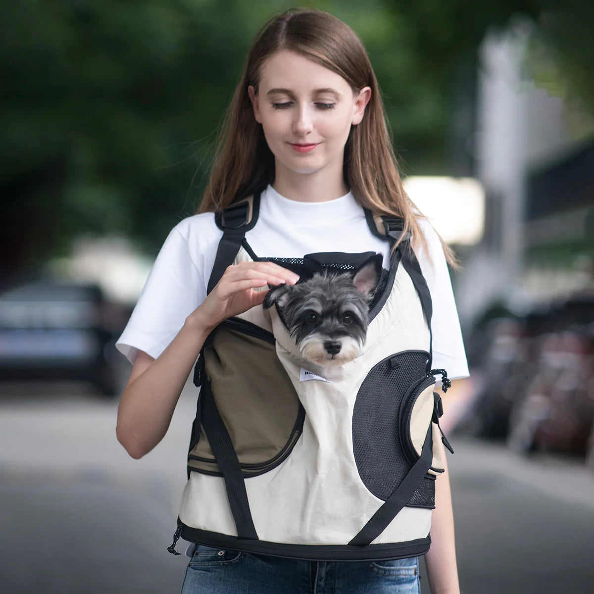 Front-facing Puppy Kitten Travel Bag