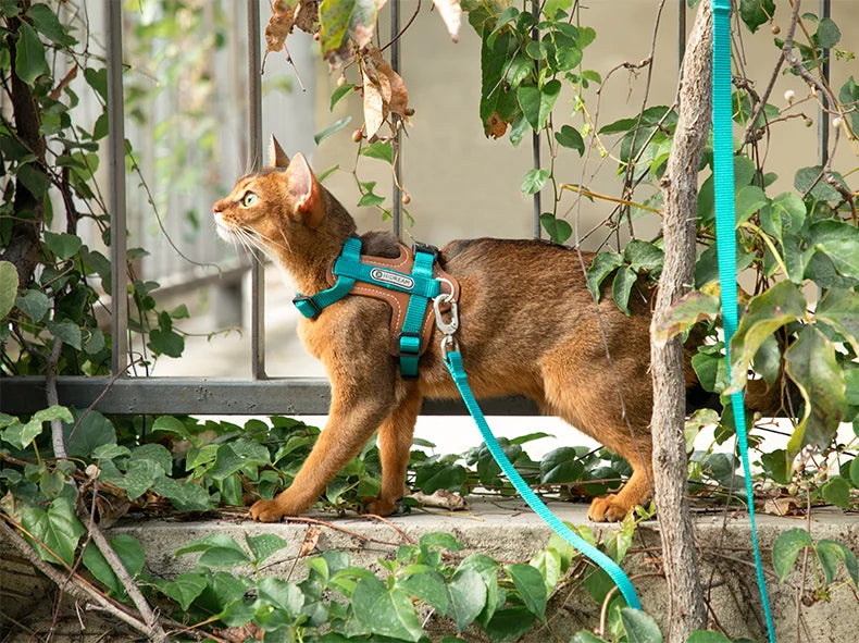 DURABLE Cat Adjustable Harness Set (Including a Lesh)