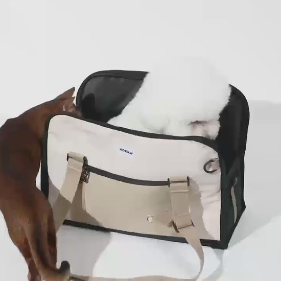 pet backpack/carrier suitable for a small dog and a cat