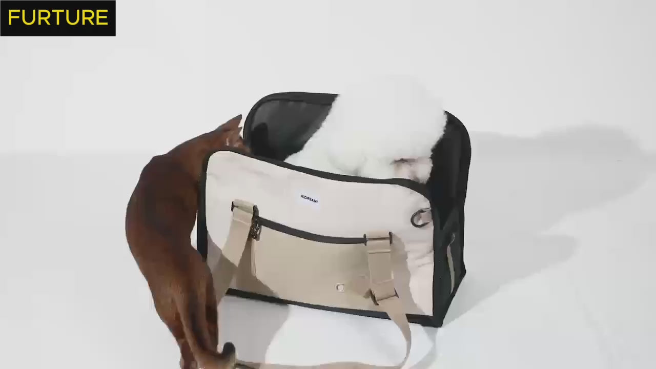 Load video: pet backpack/carrier suitable for a small dog and a cat